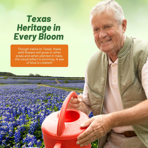 Outsidepride pollinator-friendly bluebonnets attracting bees and butterflies