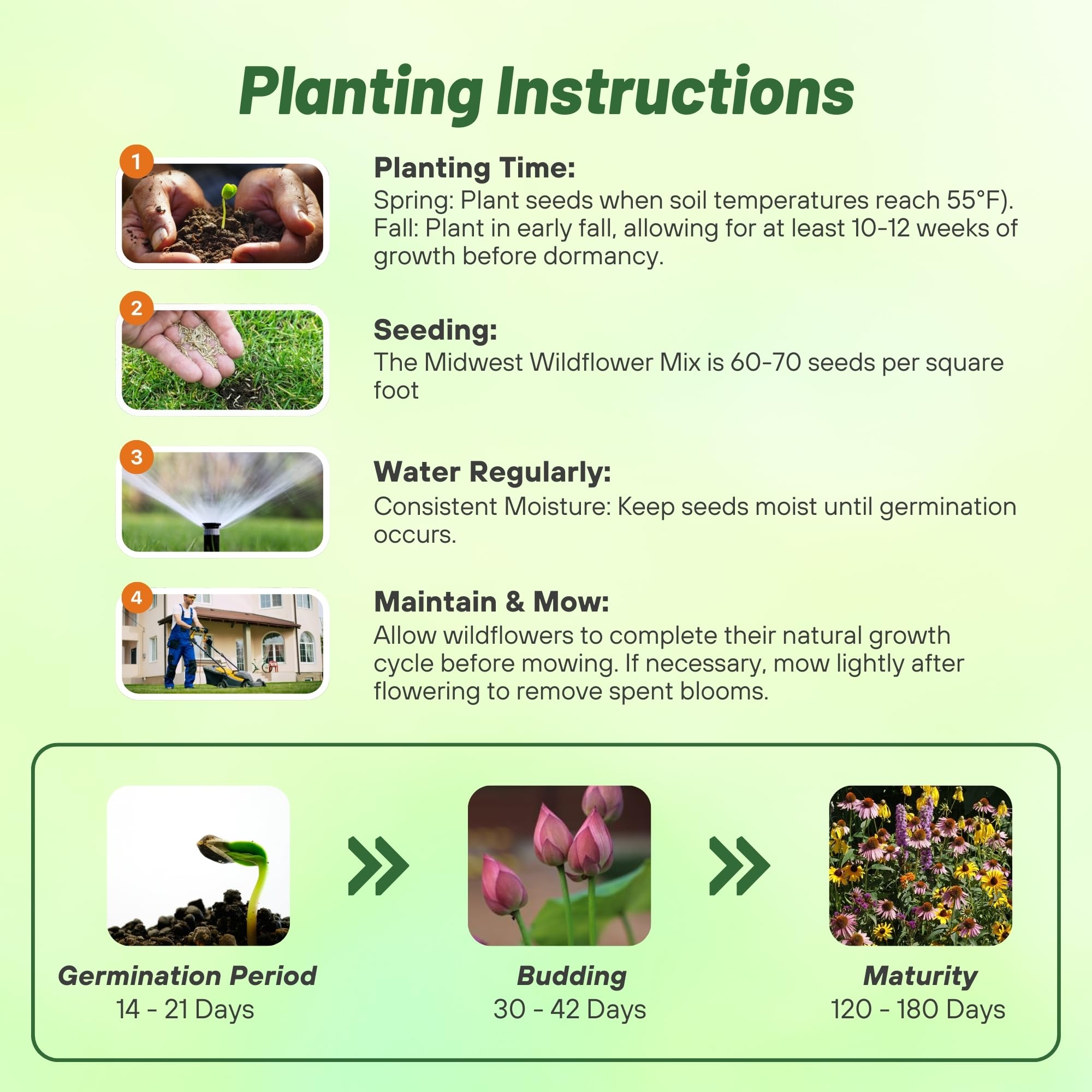 Outsidepride pollinator-friendly mix attracts bees and butterflies to your garden.