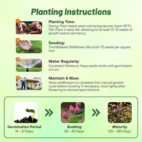 Outsidepride pollinator-friendly mix attracts bees and butterflies to your garden.