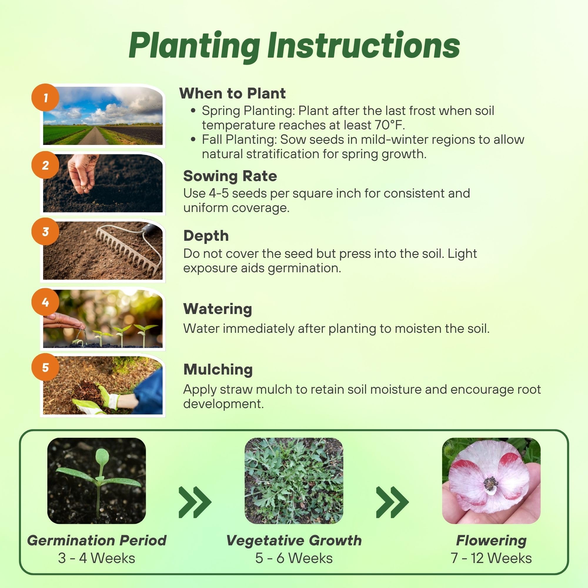 Outsidepride Pollinator-friendly poppies attract bees and butterflies to your garden.