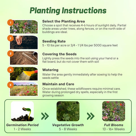 Outsidepride pollinator-friendly mix attracts bees and butterflies for ecosystem support