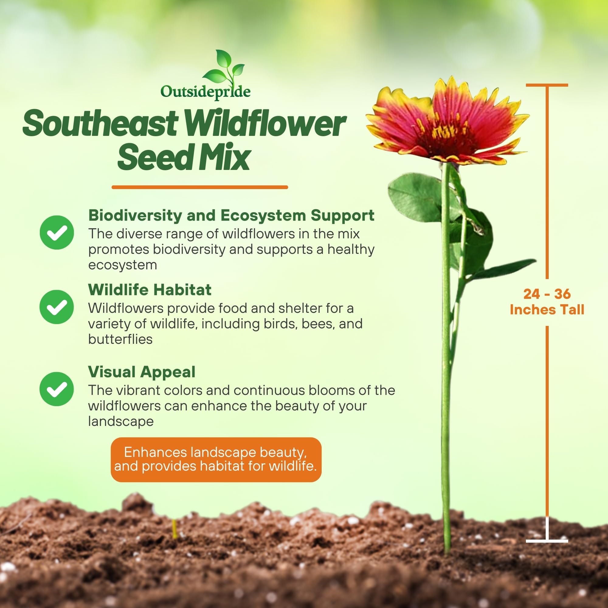 Outsidepride seed mix attracting bees and butterflies for pollination.