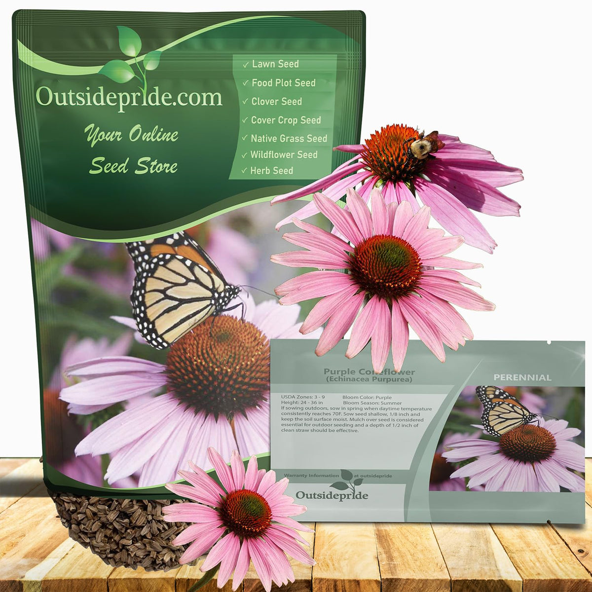 Outsidepride purple echinacea coneflower seeds for pollinator-friendly borders