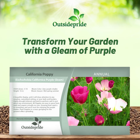 Outsidepride Purple Gleam suited for spring and fall planting for extended color.