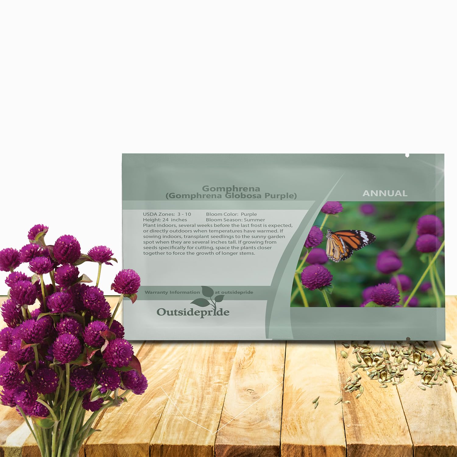 Outsidepride Purple Gomphrena globe amaranth bloom close-up with vibrant pom-pom flowers