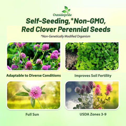 Outsidepride red clover seeds germinating demonstrates self-seeding cover crop potential.