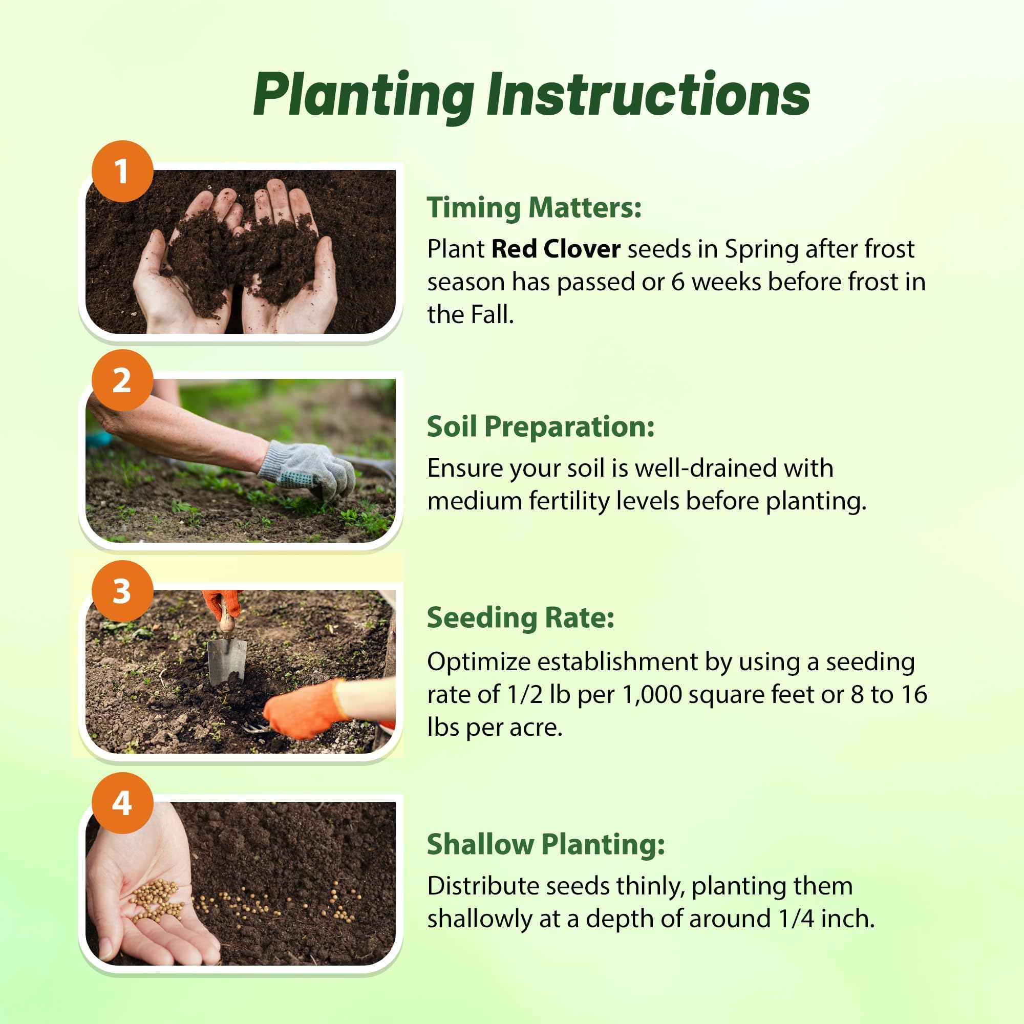 Outsidepride red clover seeds inoculated coating supports robust establishment.