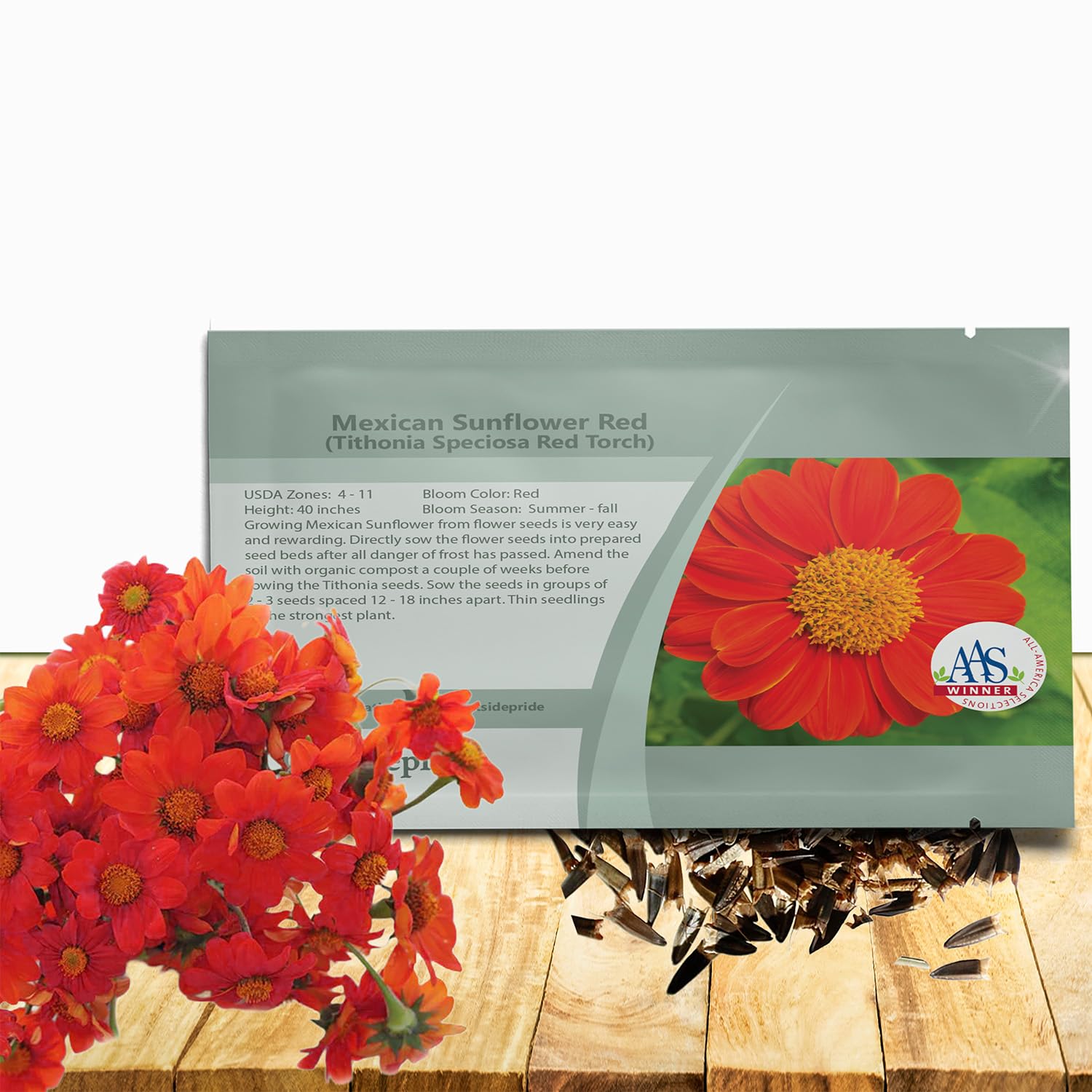 Outsidepride Red Torch Mexican Sunflower bloom showcases vibrant red petals and bold color for borders.