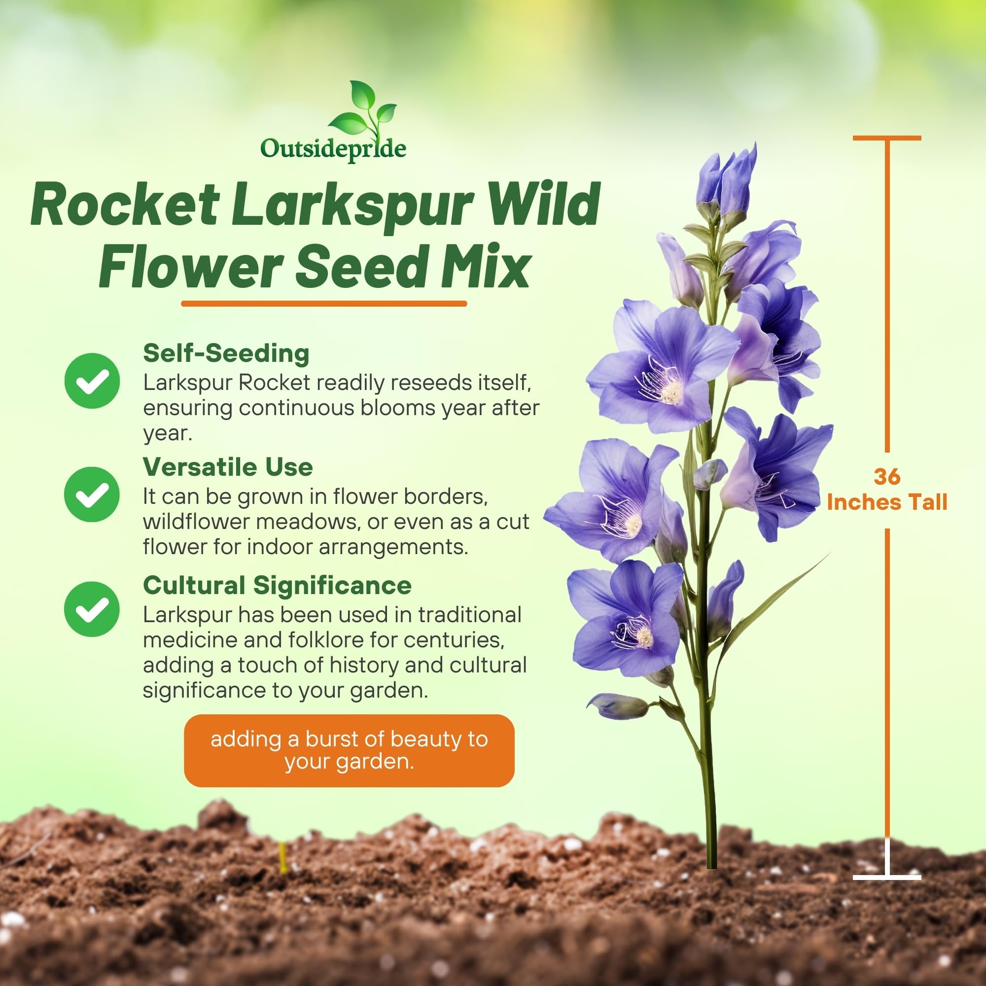 Outsidepride rocket larkspur self-seeding mix adds color with minimal effort.