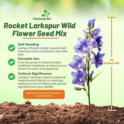 Outsidepride rocket larkspur self-seeding mix adds color with minimal effort.