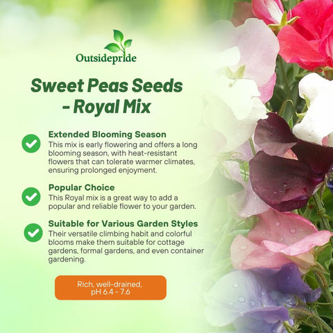 Fragrant blooms from Outsidepride Royal Mix Sweet Pea brighten outdoor spaces