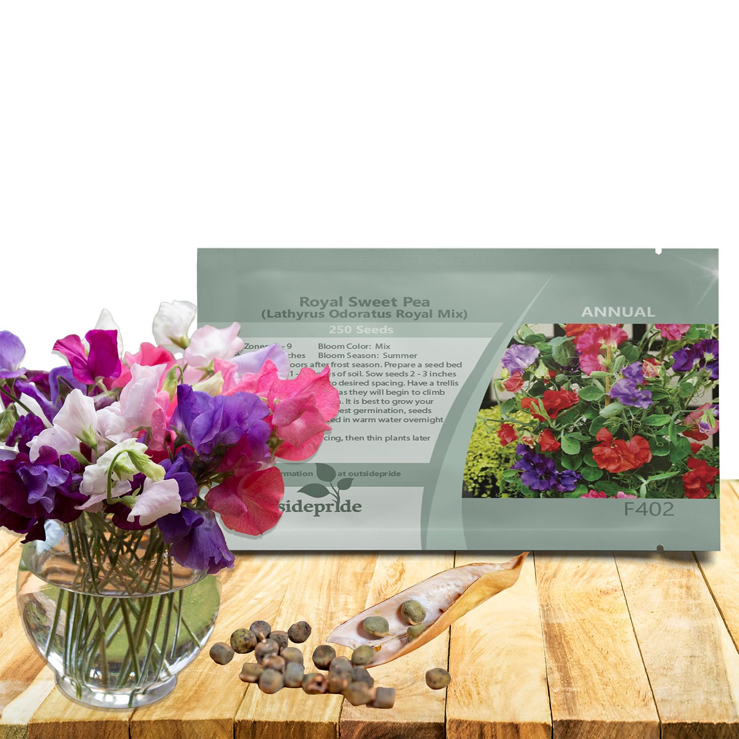 Outsidepride Royal Mix Sweet Pea seeds climbing a trellis with tall, colorful blooms
