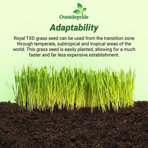 Outsidepride Royal TXD Bermuda seed blend delivering dense turf growth for high-traffic areas.