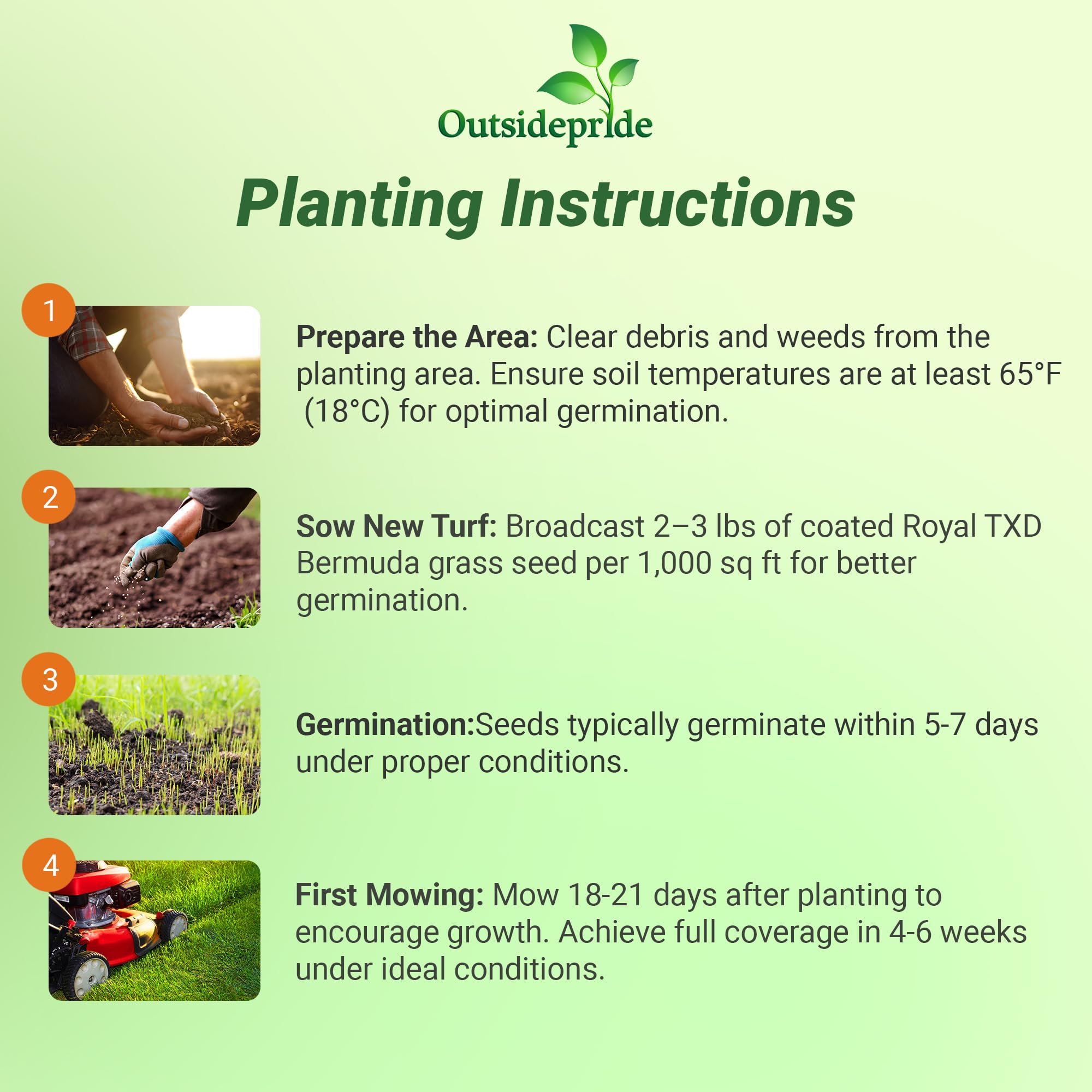 Outsidepride Royal TXD high density turf seed for lush lawns.