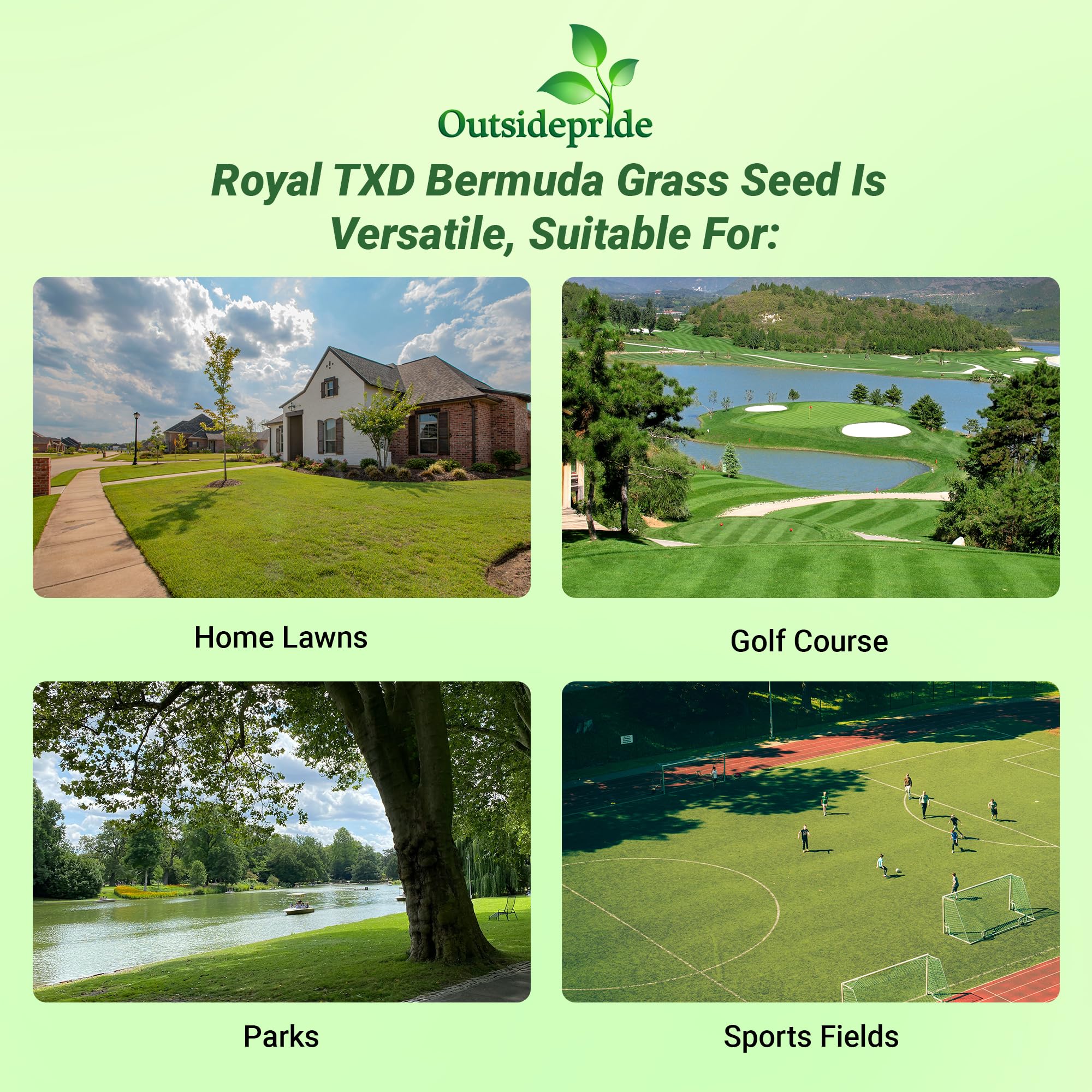 Outsidepride Royal TXD overseeding to improve lawn density.