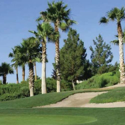 Outsidepride Royal TXD Bermuda seed blend promoting quick establishment and lush coverage.