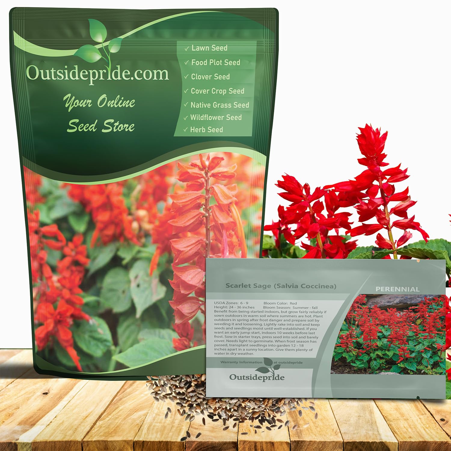 Outsidepride Salvia Coccinea Scarlet Sage seed pack ready for planting in sunny borders to attract pollinators.