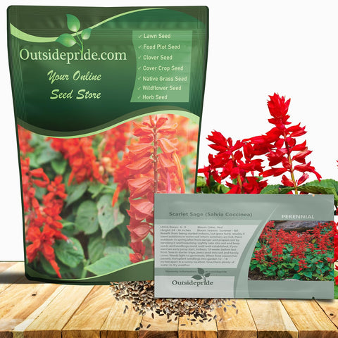 Outsidepride Salvia Coccinea Scarlet Sage seed pack ready for planting in sunny borders to attract pollinators.