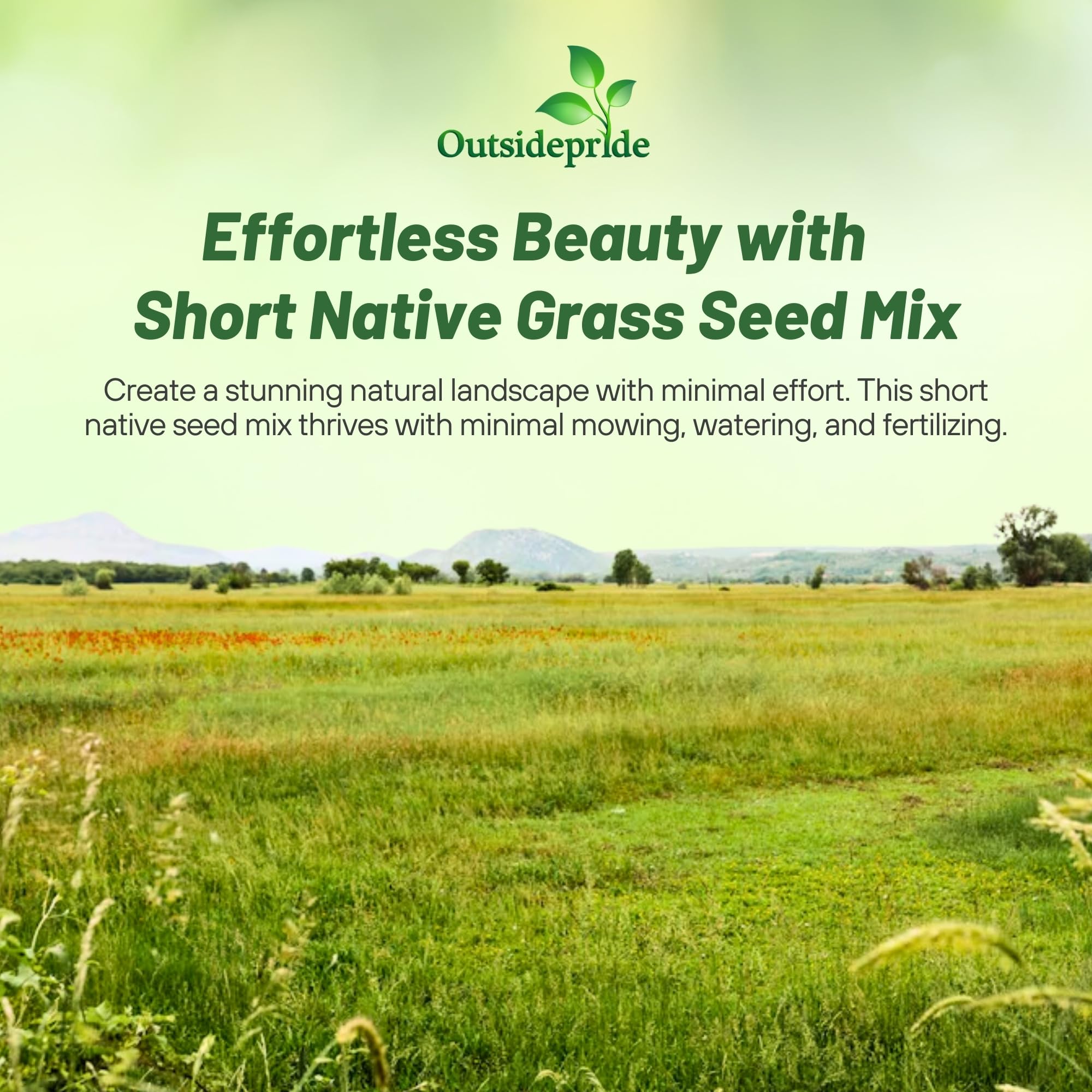 Outsidepride sandy-soil adaptable grass seed for Florida and Texas landscapes.