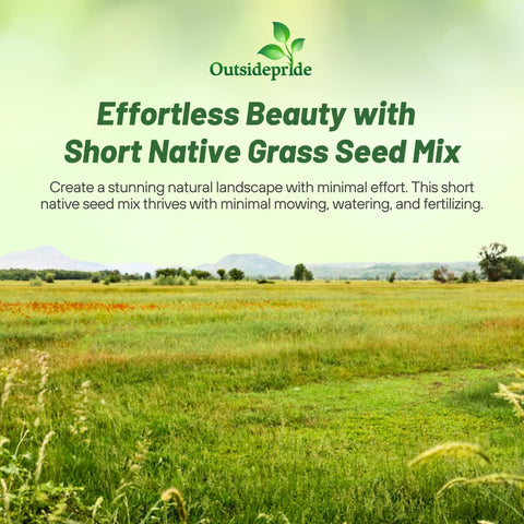 Outsidepride sandy-soil adaptable grass seed for Florida and Texas landscapes.