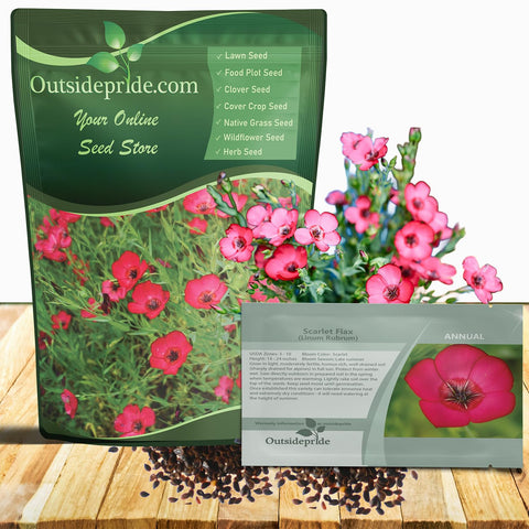 Outsidepride Scarlet Flax bloom closeup, vibrant scarlet color for border accents.