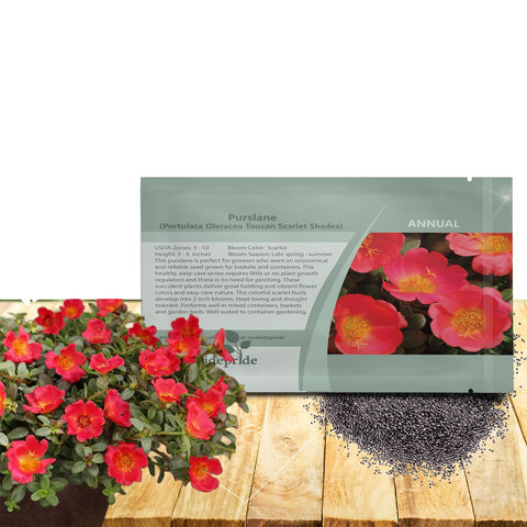 Outsidepride Scarlet Purslane seeds packaging for quick planting and color