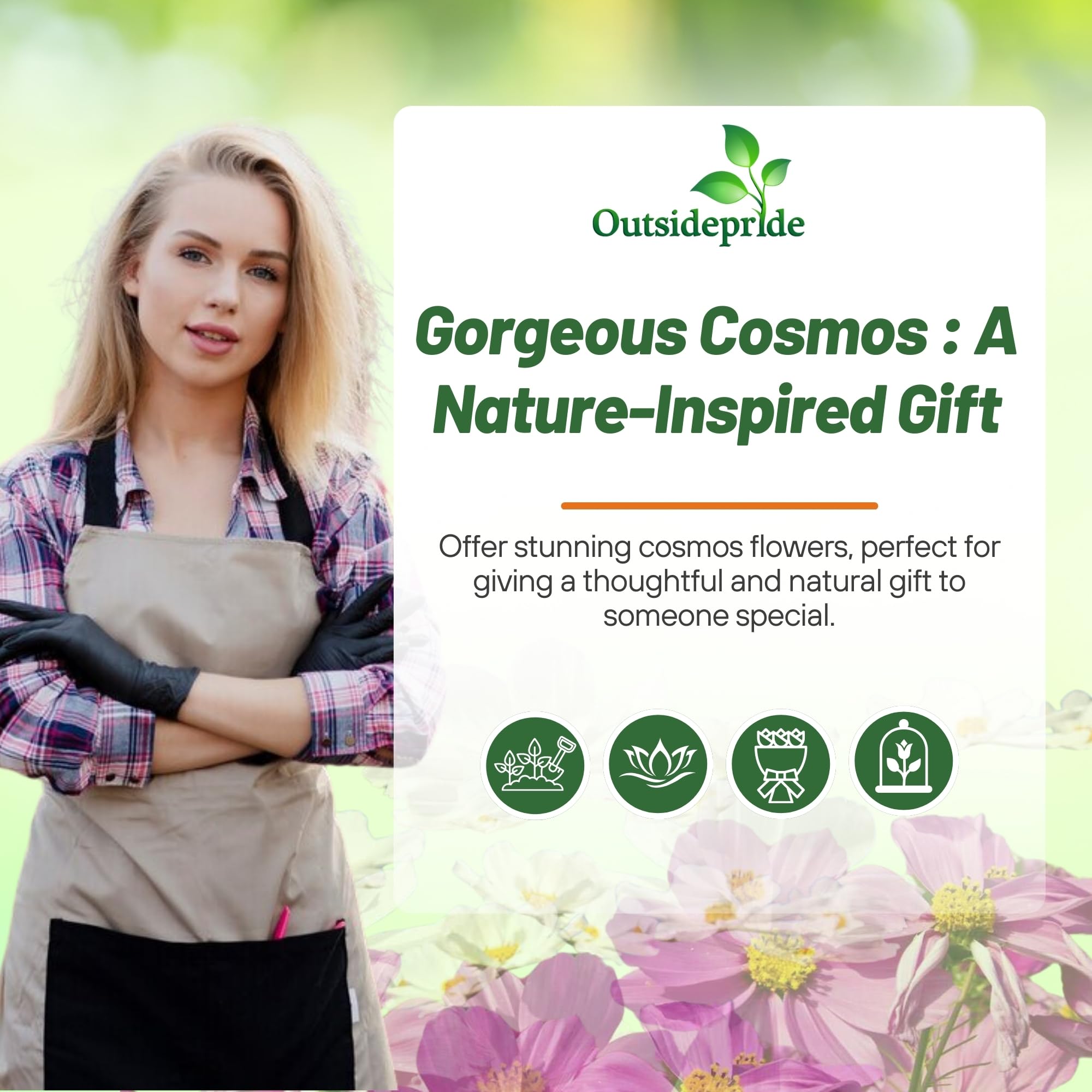 Outsidepride Sensation Mix supports self-sowing borders for continuous seasonal color