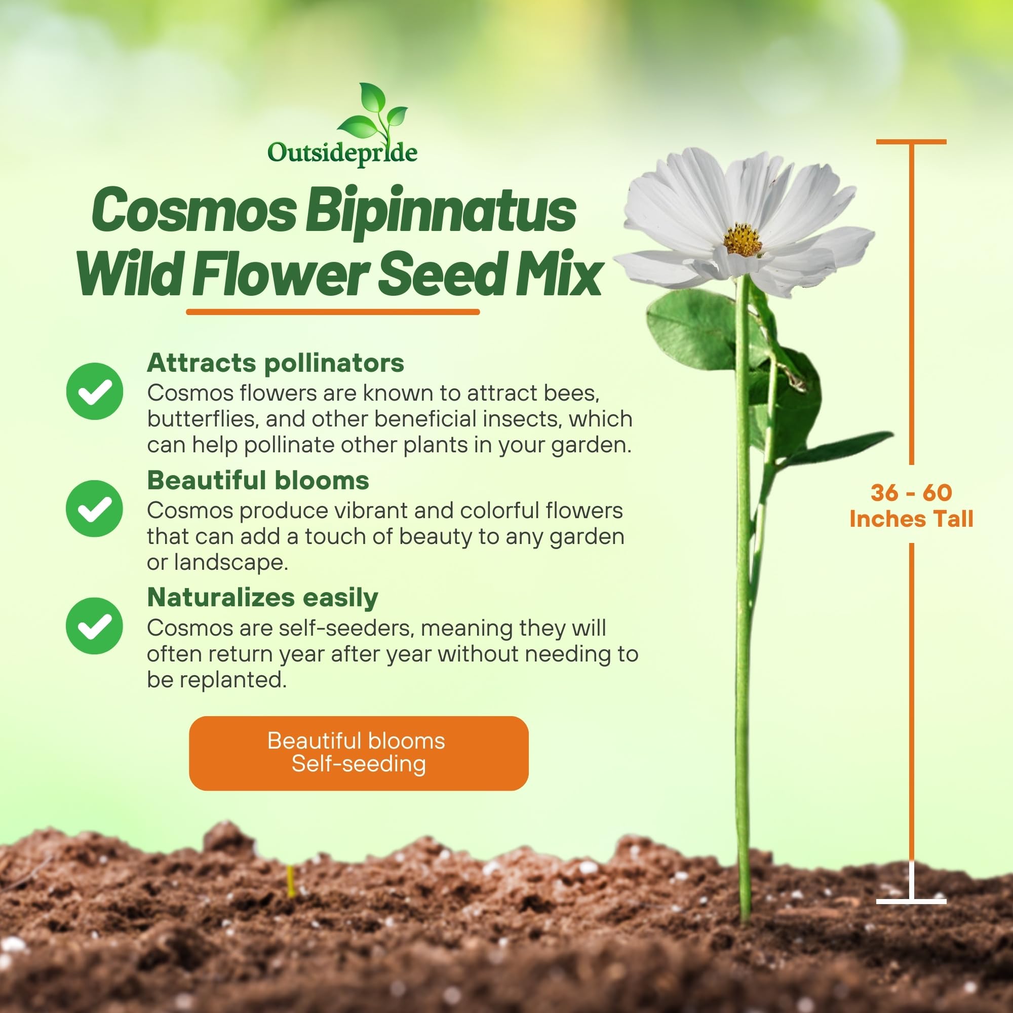 Outsidepride Sensation Mix attracts butterflies and bees for a pollinator-friendly garden