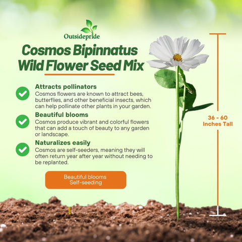 Outsidepride Sensation Mix attracts butterflies and bees for a pollinator-friendly garden