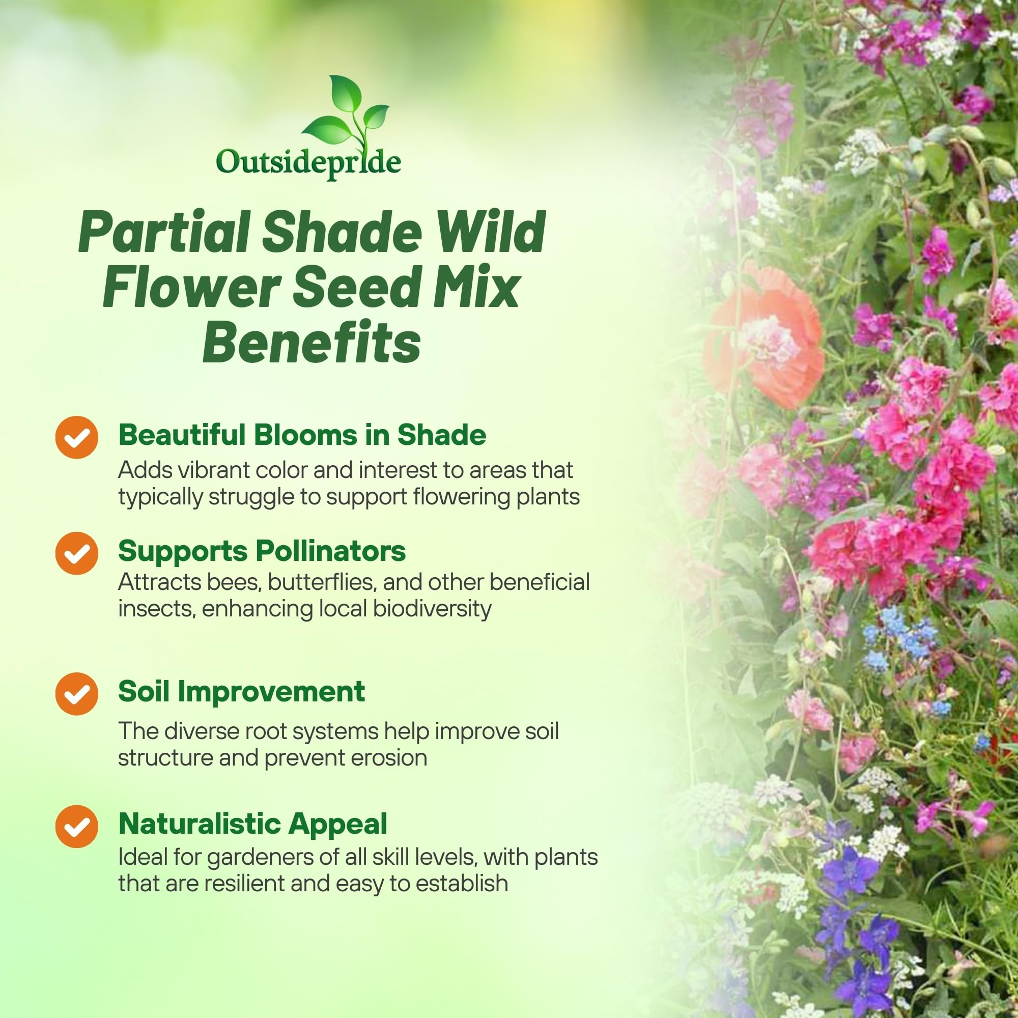 Outsidepride shaded-garden wildflowers create a vibrant meadow-like look in dim areas