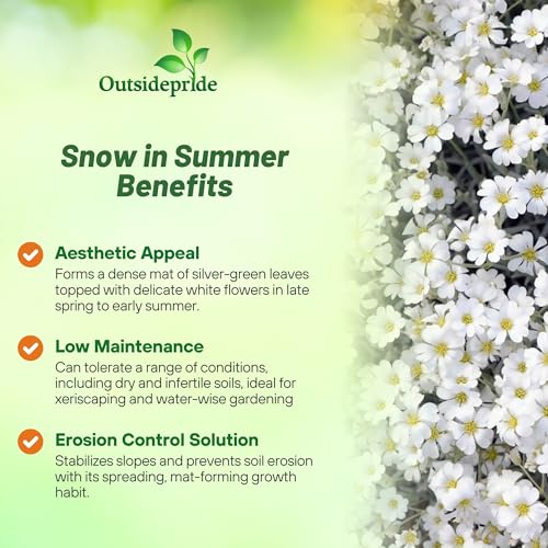 Outsidepride Snow in Summer foliage and white blooms along pathways and slopes