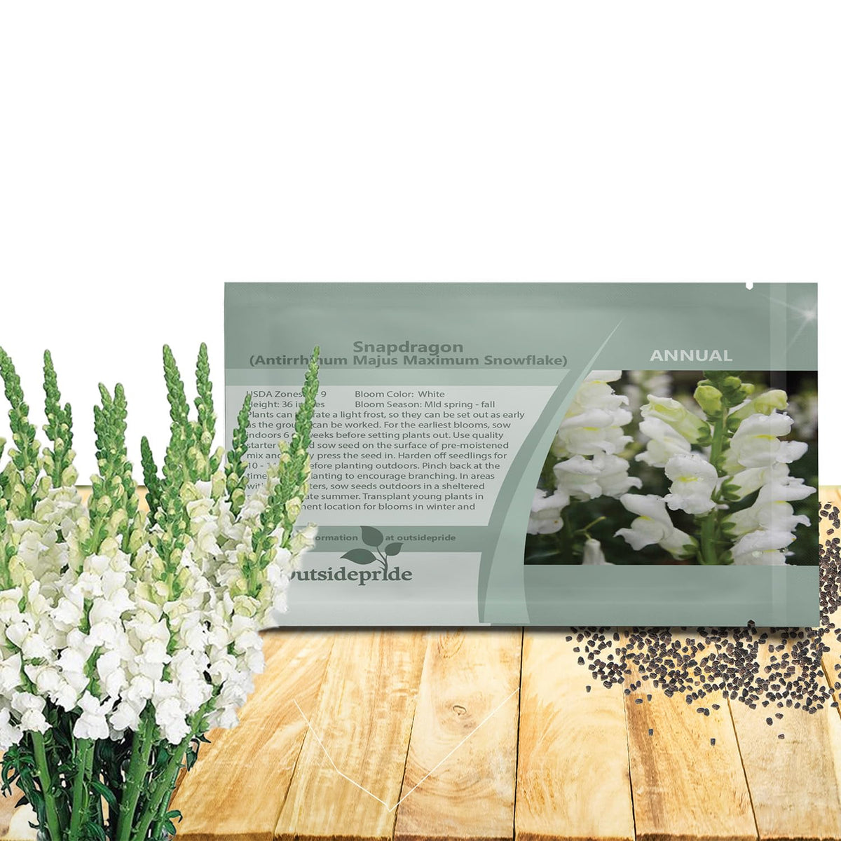 Outsidepride Snowflake Snapdragon seeds pack for vibrant borders and spring color