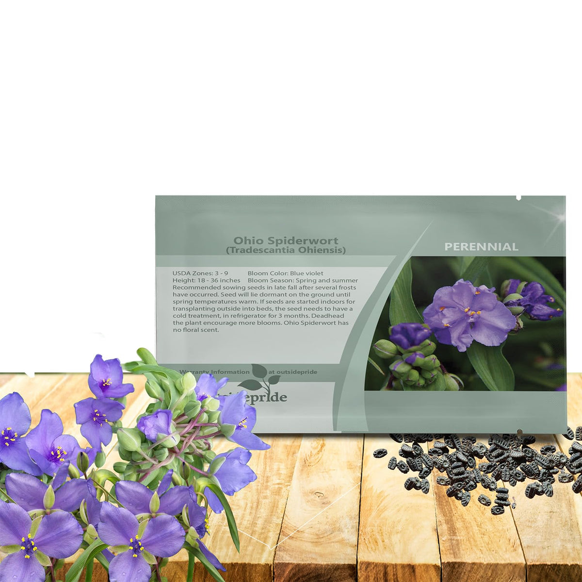 Outsidepride Spiderwort seeds show blue-violet clusters in a border use case