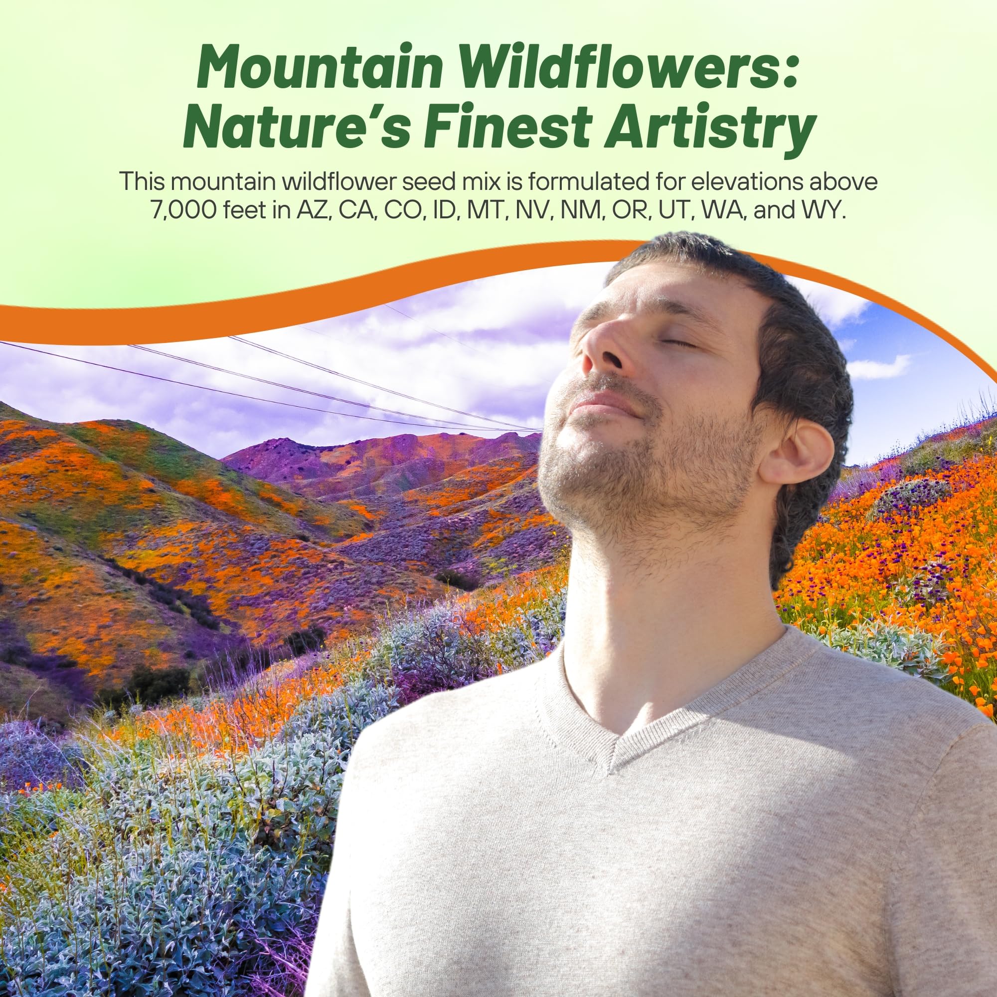 Outsidepride pollinator-friendly seeds attract bees and butterflies for a thriving garden.
