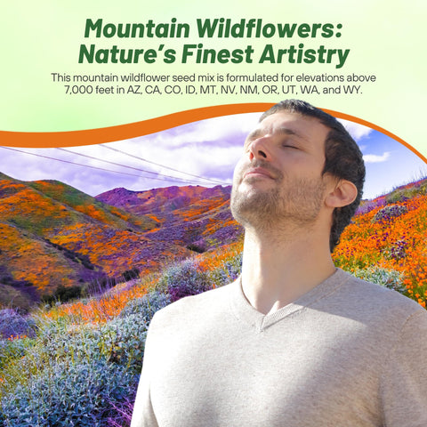 Outsidepride pollinator-friendly seeds attract bees and butterflies for a thriving garden.