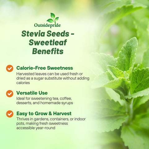 Outsidepride dried stevia leaves powder for baking and flavoring.