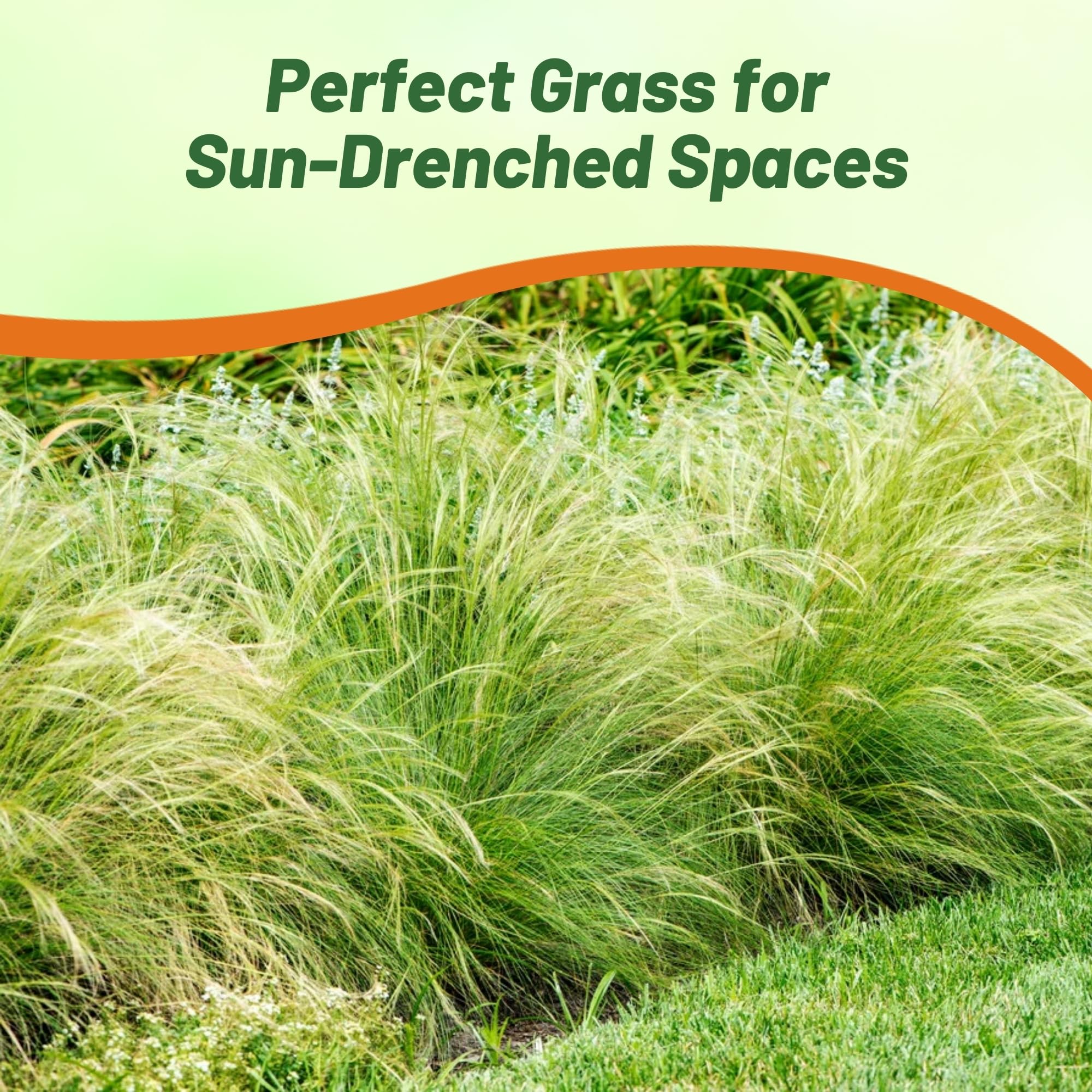 Outsidepride Stipa tenuissima night garden lighting enhances evening drama