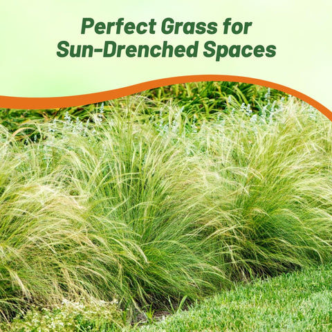 Outsidepride Stipa tenuissima night garden lighting enhances evening drama