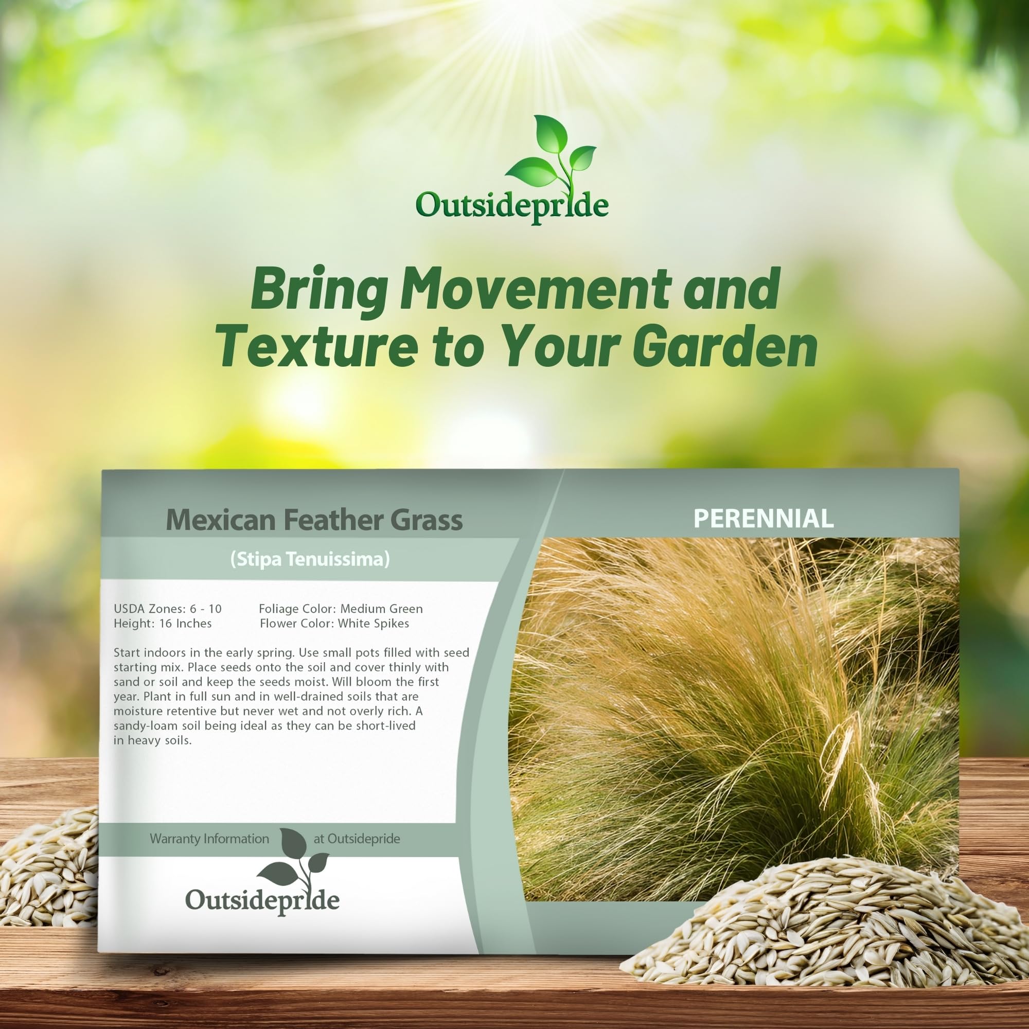 Outsidepride Stipa tenuissima white plumes brighten beds year-round