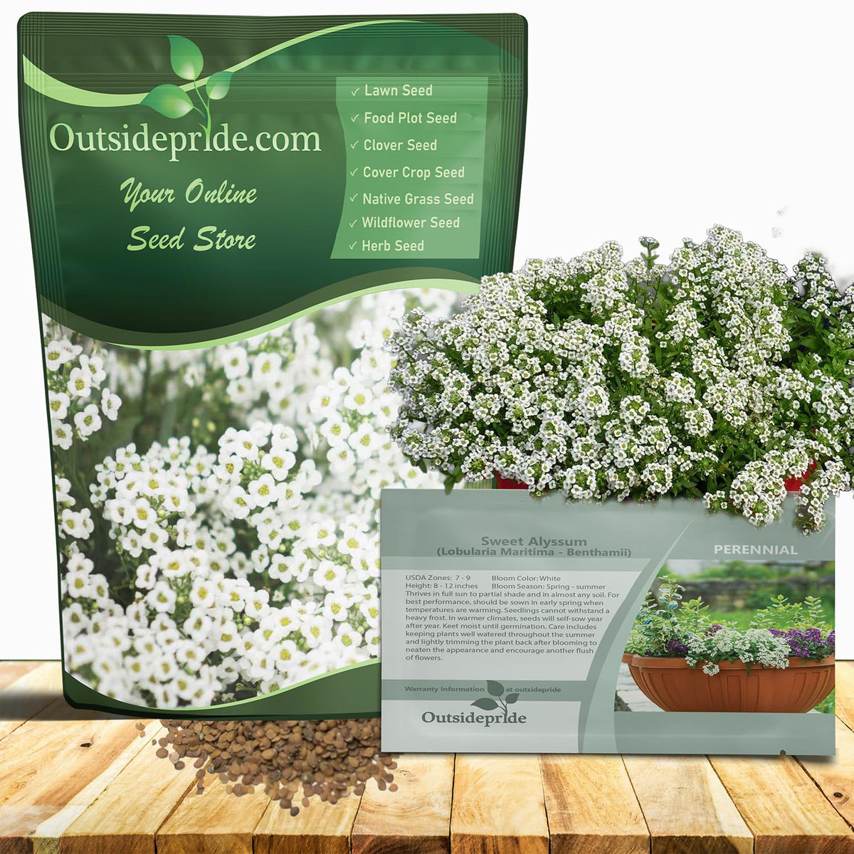 Outsidepride sweet alyssum white blooms close-up for fragrant ground cover.