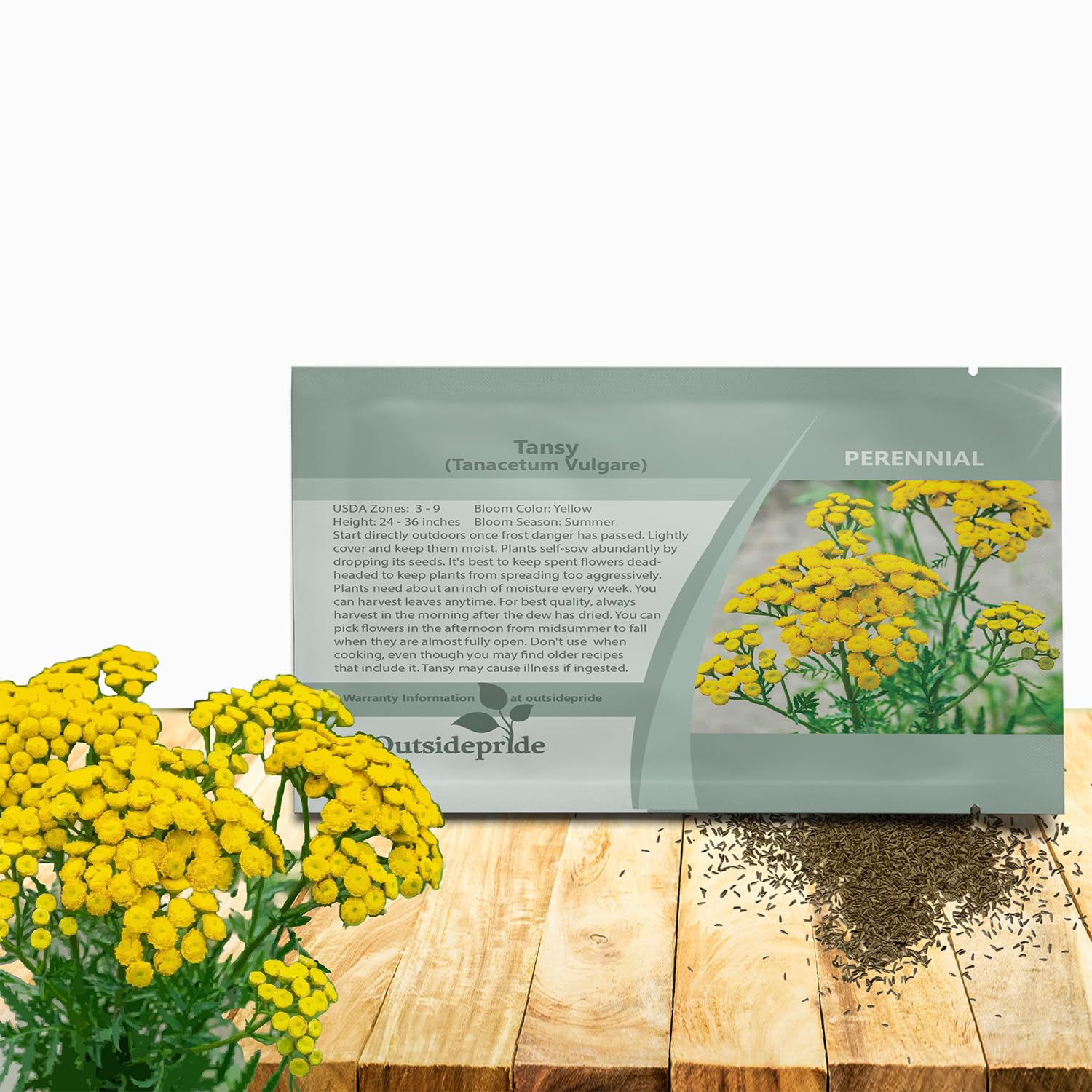 Outsidepride Tansy Seeds show yellow blooms for vibrant perennial color.