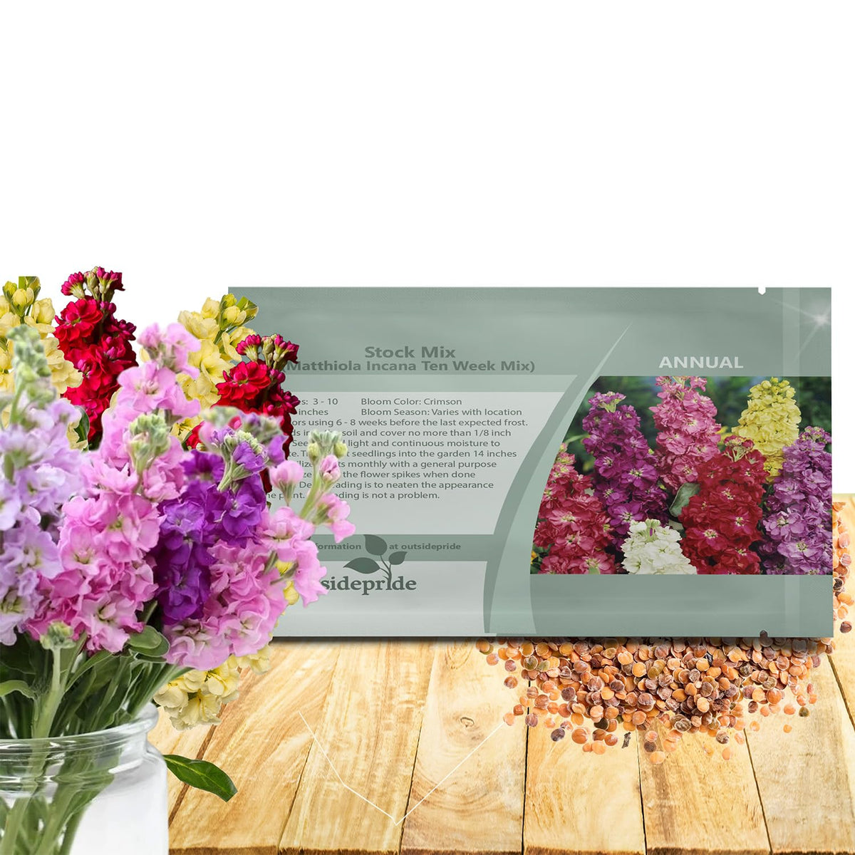 Outsidepride Ten Week Mix Matthiola seeds packaging shows compact growth for small spaces.