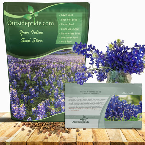 Outsidepride Texas bluebonnet seeds pack with vibrant blue blooms for spring color