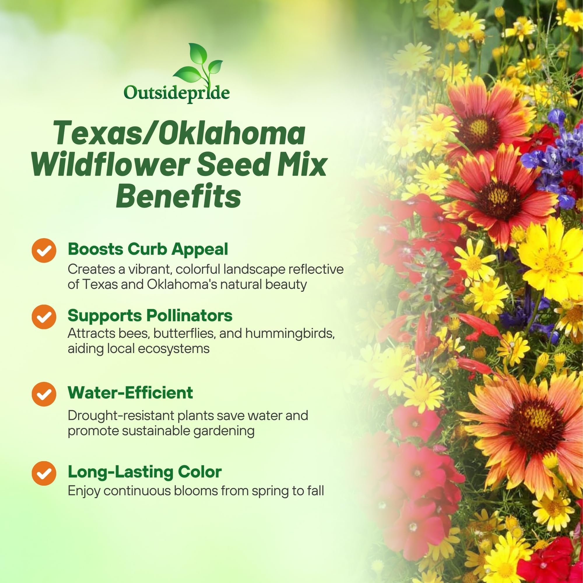 Outsidepride Texas & Oklahoma wildflower seed mix germinating in a moist seedbed.