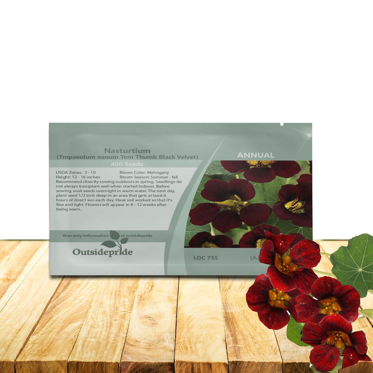 Outsidepride Tom Thumb Black Velvet nasturtium seeds for borders with vibrant mahogany blooms