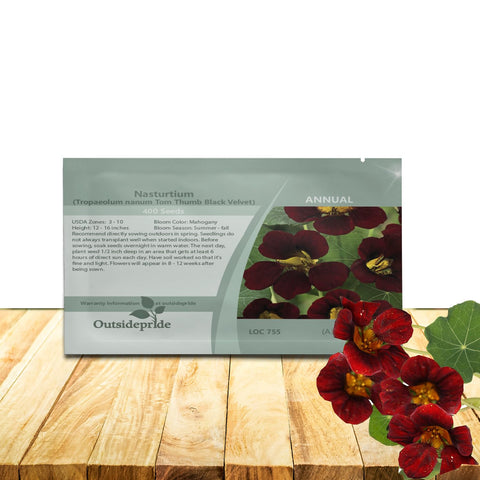 Outsidepride Tom Thumb Black Velvet nasturtium seeds for borders with vibrant mahogany blooms