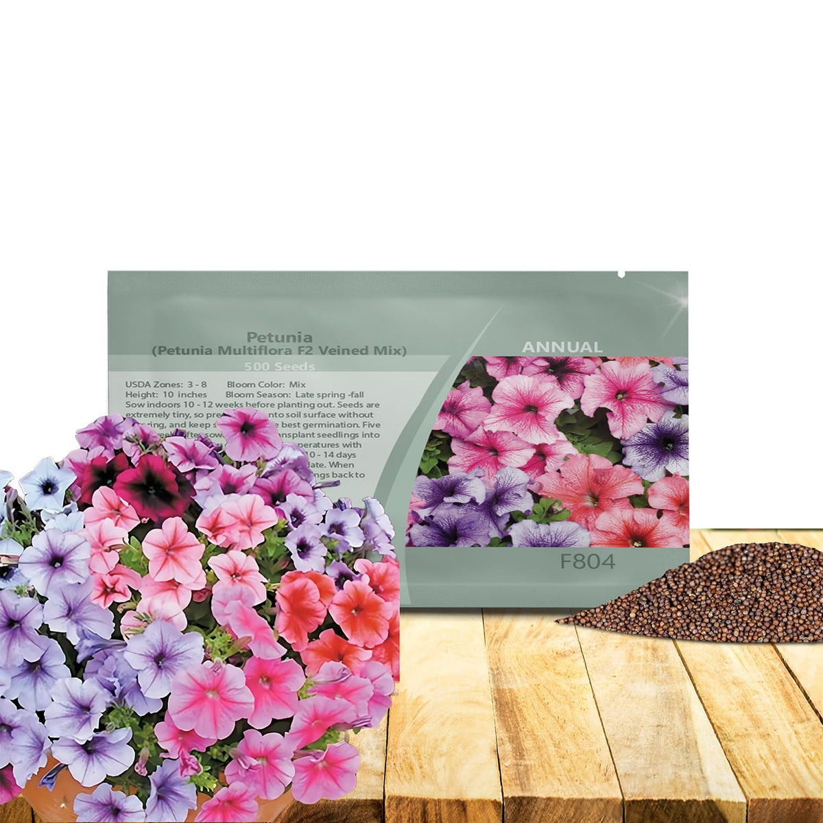 Outsidepride Veined Multiflora Petunia seeds forming color in a sunny garden bed.