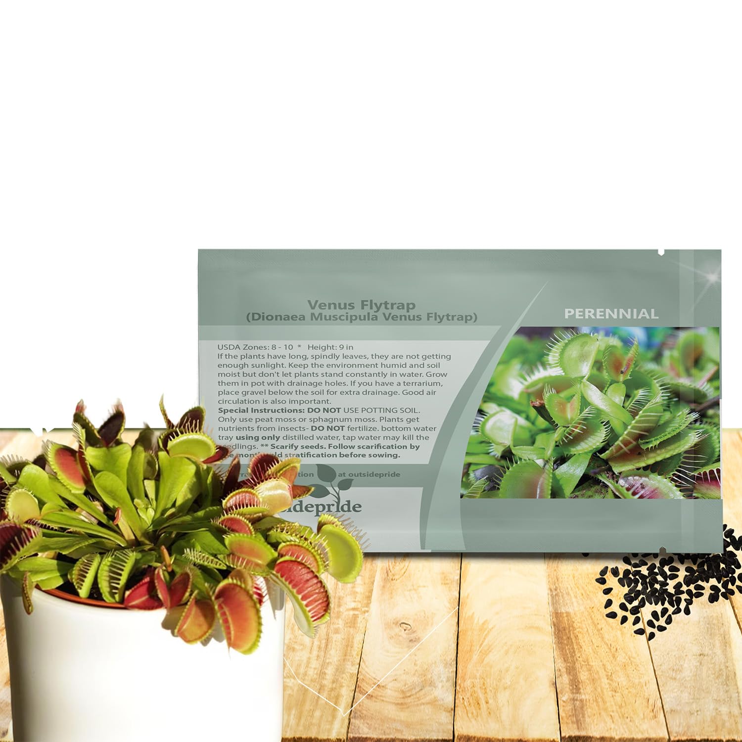 Outsidepride Venus Flytrap seeds pack ready for terrarium planting and easy indoor display