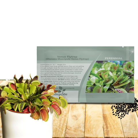 Outsidepride Venus Flytrap seeds pack ready for terrarium planting and easy indoor display