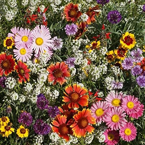 Outsidepride versatile coverage options for any bed or meadow